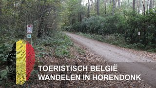 België | Wandelen in Horendonk | Essen