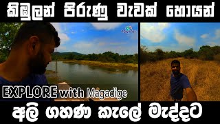 අලි ගහණ කැලේ හැංගුන වැවක් හොයන් තනිව |Alone in search of a lake hidden in the forest,අලිවැට ali wata