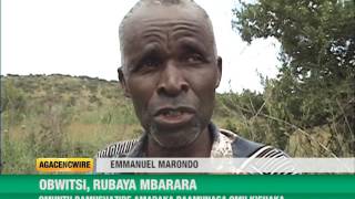 Obwitsi, rubaya mbarara - omuntu bamushazire amaraka baamunaga omu kishaka.