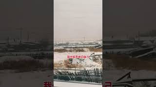 #老家的雪 #东北 #东北特色 #乡愁记忆