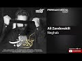 Ali Zandevakili - Neghab ( علی زندوکیلی - نقاب )