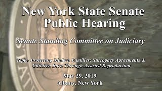 Senate Standing Committee on Judiciary Public Hearing - 5/29/19