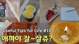 How to Save Money💰 with Misc. Life Hacks🏠 Be Rich, Everybody~😊