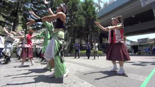 総踊り＜＜くるくる丼＞＞１ こいや祭りプレイベント2016