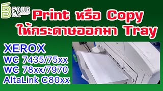 Print หรือ Copy ให้กระดาษออกมา Tray XEROX เครื่องสี WC 7435/7545/7835/7855/7970 C8035/8045 By FourOA