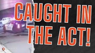 Caught Again! How Video Monitoring Finally Stopped a Repeat Offender