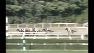 1990 Jockey Club Gold Cup - Flying Continental