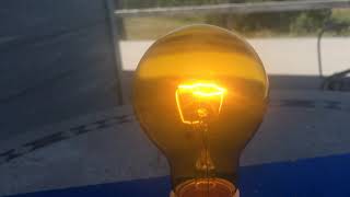 Westinghouse 25 Watts Amber Party Bulb