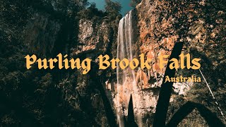 Australia   Spring Brook Falls