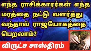 ராஜயோகத்தை பெற உங்களுக்கான ராசி மரத்தை வளருங்கள் | விருட்ச சாஸ்திரம் | Virutcha Sasthiram in tamil