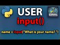 How to use input function in python