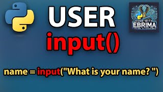 How to use input function in python