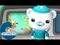 Octonauts - L'équipe de sauvetage de l'océan | Dessins animés pour enfants