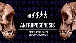 ANTROPOGÉNESIS (PARTE II): RESTOS FÓSILES