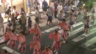 りずむ連（三鷹）・第52回2019三鷹阿波おどりMitaka AwaOdoriみたか三鷹阿波踊り