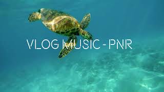 LiQWYD & Luke Bergs - Tropical Fever ♥ Vlog Music | No Copyright Music | Free Music