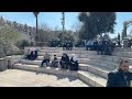 jerusalem live. 28 february 2025. damascus gate before ramadan