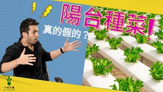 【下班花園】在陽台種菜，真的假的？水耕栽培