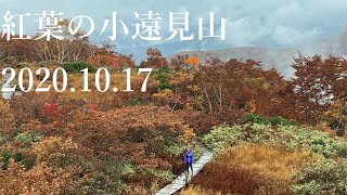 山登り二年生の登山日記　49座目　小遠見山　2020年10月17日