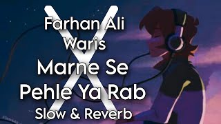 Marne Se Pehle Ya Rab Deedar e Karbala Ho | Slow & Reverb | Farhan Ali Waris