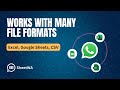 Multiple Input Files for WhatsApp Bulk Messages | WhatsApp Bulk Message Sender | SheetWA