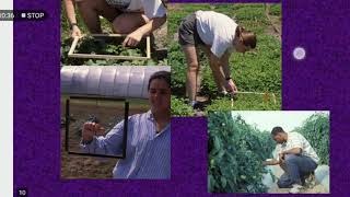 Pest sampling methods
