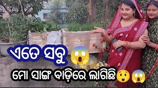 ଏତେ ସବୁ ମୋ ସାଙ୍ଗ ବାଡ଼ିରେ ଲାଗିଛି ଚାଲନ୍ତୁ ଦେଖିବା #𒆜foryou @namitaskitchengarden9693