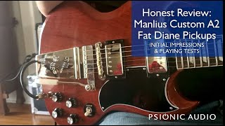 Honest Review: Manlius Custom AlNiCo 2 \