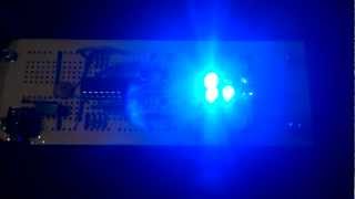 Pickit2 PIC16F684 Binary Counter