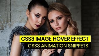 CSS Image Hover Effect | Tutorial for Beginners | CSS3 Animation Snippets