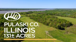 Pulaski County,IL 131± Acres