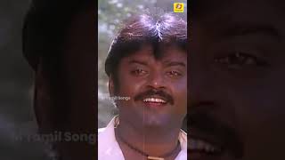 Chinna Mani Kuyile | Amman Kovil Kizhakale | Ilaiyaraaja | Vijayakanth #ytshortsvideo #vijayakanth