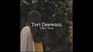 Teri Deewani ( Slowed + Reverb ) Lofi | Kailash Kher | Mystical