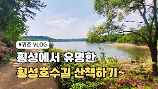 강원도 횡성에서 유명한 횡성호수길 5구간 산책하기+횡성호수길 축제 (귀촌 VLOG)🌳🌄