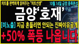 [금양 주가 전망] \