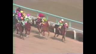 メジロマックイーン 1991年 第39回阪神大賞典(GII)  (優勝馬：メジロマックイーン) (実況：ラジオたんぱ版)