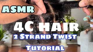 ASMR | 2 STRAND HAIR TUTORIAL on Short 4C Hair | Quick \u0026 Easy |Satisfying