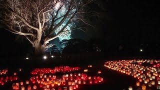 2019水戸偕楽園・夜梅祭　Mito Kairakuen　Night plum festival　Fireworks