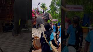 ഗുരുവായൂർ രാജശേഖരന്റെ ആ നിൽപ്പ് #rahulrajvlogs #shorts