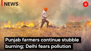Punjab farmers continue stubble burning; Delhi fears pollution | Delhi Air Pollution