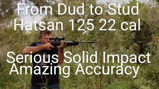 From Dud to Stud: The Most Powerful Break Barrel Air Rifle in the World: Hatsan 125