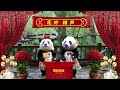 《花花小剧场》姨姨们，“花叶相声”的首秀～快来围观哦🥳🥳 哈哈！不好笑死呀！ 来这吸熊猫 大熊猫和花 大熊猫和花和叶 熊猫花花 大熊猫