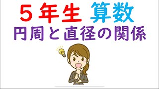 小5算数【正多角形と円⑤】円周と直径の関係