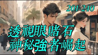 《透視眼賭石，神秘強者崛起》201-240