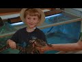 awesome gators u0026 amazing reptiles at wildlife park kids songs moonbug kids