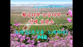 【カラオケ全65曲】 조선가요 《황금나무 능금나무 산에 심었소》