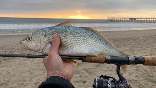 ONE Simple Tip + Demo to Catch More Fish in the Surf | Southern California Surf Fishing