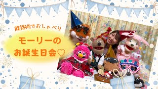 【腹話術でおしゃべり】モーリーお誕生日おめでとう！！