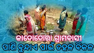 କାଦୋଦୋରା ଗ୍ରାମବାସୀ ପାଣି ବୁନ୍ଦାଏ ପାଇଁ ଡହଳ ବିକଳ | Drinking Water Problems in Kadadhara Village