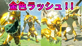 ゼルダの伝説 ブレス オブ ザ ワイルド バグ発見 マラソンのタイムを大幅短縮 44秒64